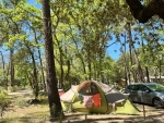 Camping La Simioune