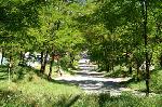 Photo Domaine Chasteuil Verdon Provence